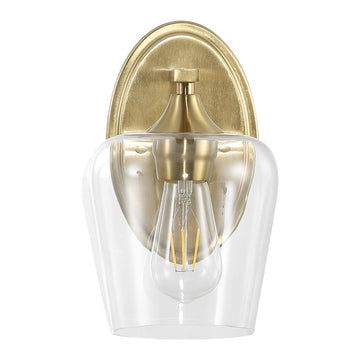 Jayne Iron/Glass Cottage Rustic LED Vanity Light